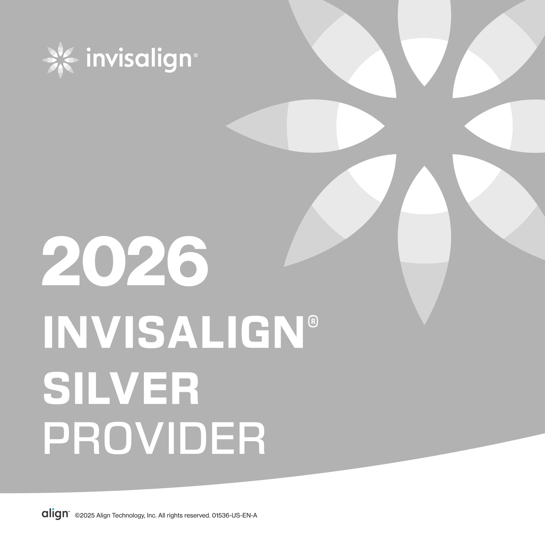 A-Window-Cling-Advantage-Silver-EN-outlines